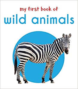 Wonder house My First book of wild animals